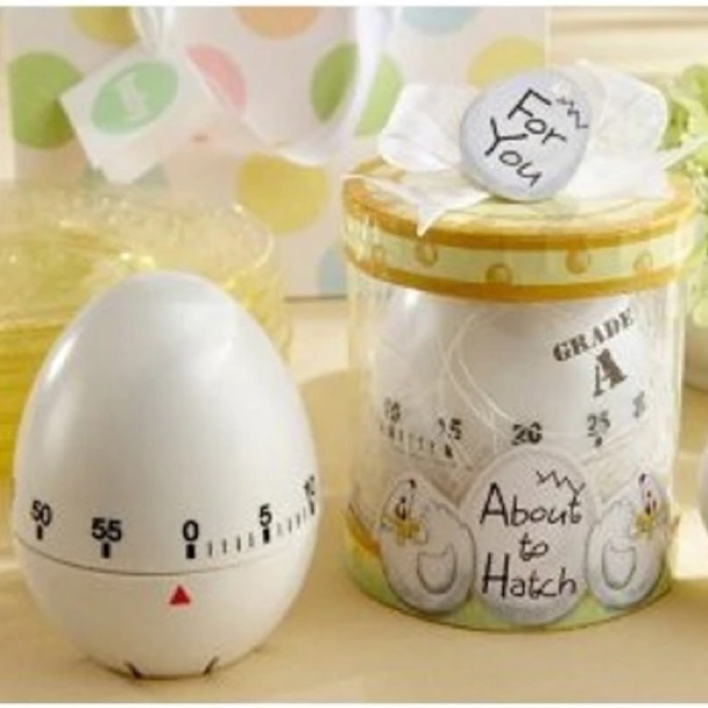 NWT Kate Aspen Egg Timer